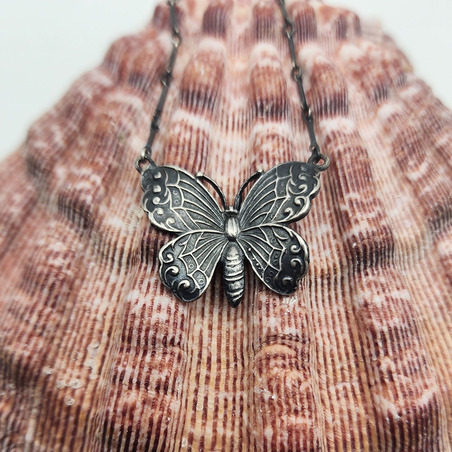 Monarch Butterfly